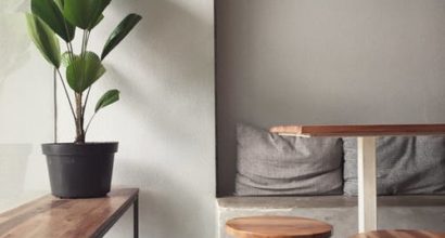 Sitting Space with Large Plant